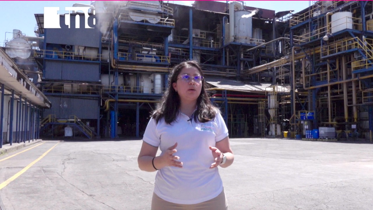 🔔 La Notificación 🔔 ¡Motor Económico! El azúcar se consolida como el 