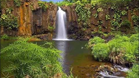 سورة الشورى برواية السوسي للشيخ حسن صالح   hassan saleh