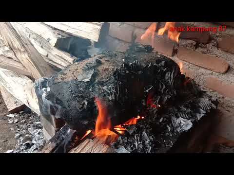 Experiment bakar ayam hutan..,menggunakan tanah liat..!!!😯😯😯