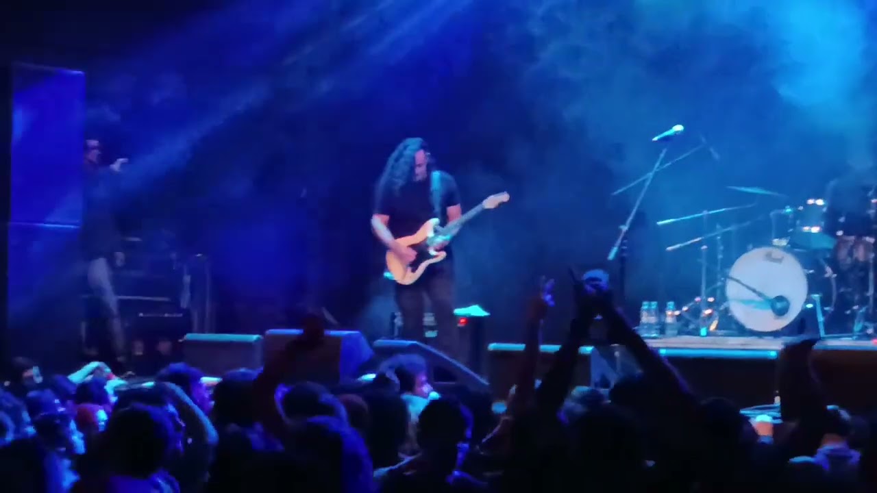 Dedo no cu e gritaria YouTube