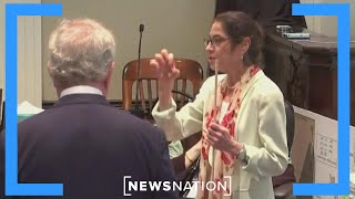 Celebrity Jury view 'very helpful' in Murdaugh trial, legal expert says | NewsNation Live Wealth