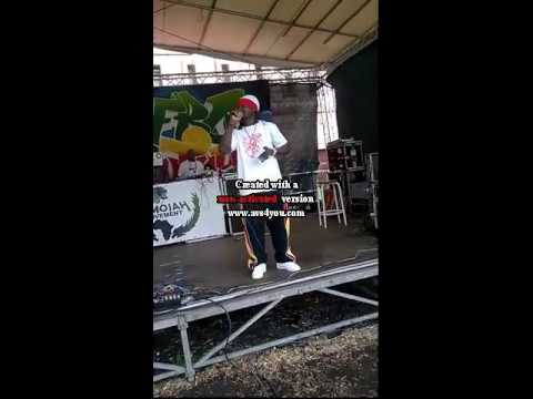 LIKKLE DANNY@ THE AFRICAN AND GERMAN FESTIVAL PERFORMANCE