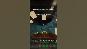 POV: The last Pillager in the Raid #minecraft #gaming #viralvideo #fyp