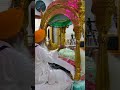 ਕੰਨ ਖੋਲ ਕਿ ਸੋਨਿਇਓ #ਹਰਿਮੰਦਿਰ ਸਾਹਿਬ, ਅੰਮ੍ਰਿਤਸਰ #ਅੰਮ੍ਰਿਤਸਰਅਕਾਲਤਖਤਸਾਹਿਬ #ਲਾਈਵ #ਦਰਸ਼ਨ #ਵਾਇਰਲ
