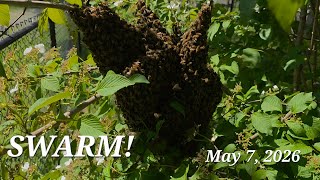 SWARM! May 7, 2026