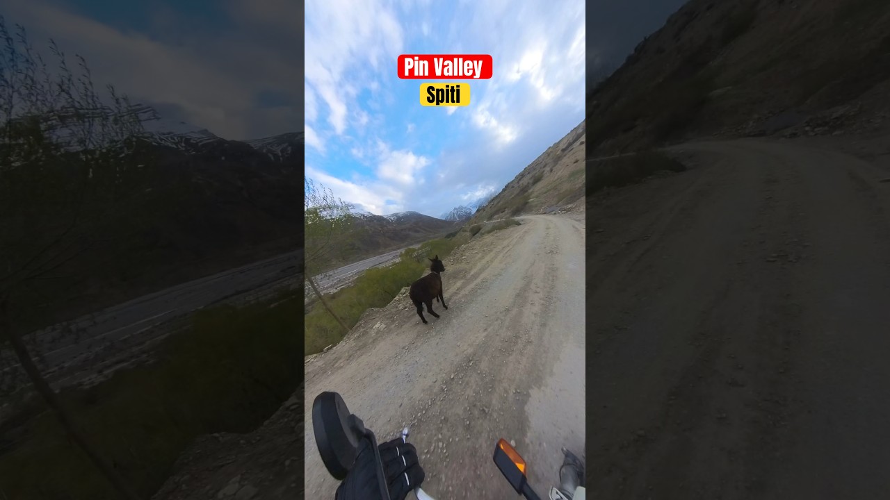 Pin Valley, Spiti, -5°C 🥶 