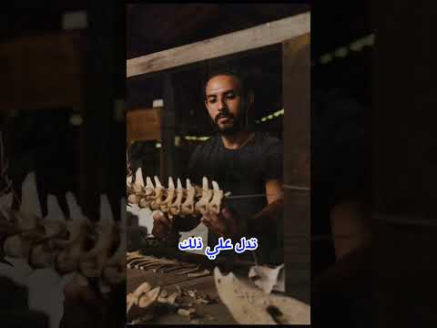 كم عمر البشر علي الأرض الصلاة على النبي معلومات   ترند