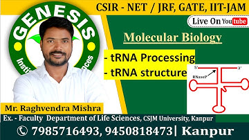 tRNA Processing | Molecular Biology | CSIR NET/JRF | Life science | GATE| DBT