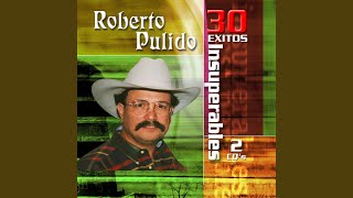 Video thumbnail of "Roberto Pulido - Obsesión"