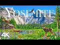 Yosemite National Park 4K Ultra HD - Stunning Footage, Scenic Relaxation Film with Calming Music