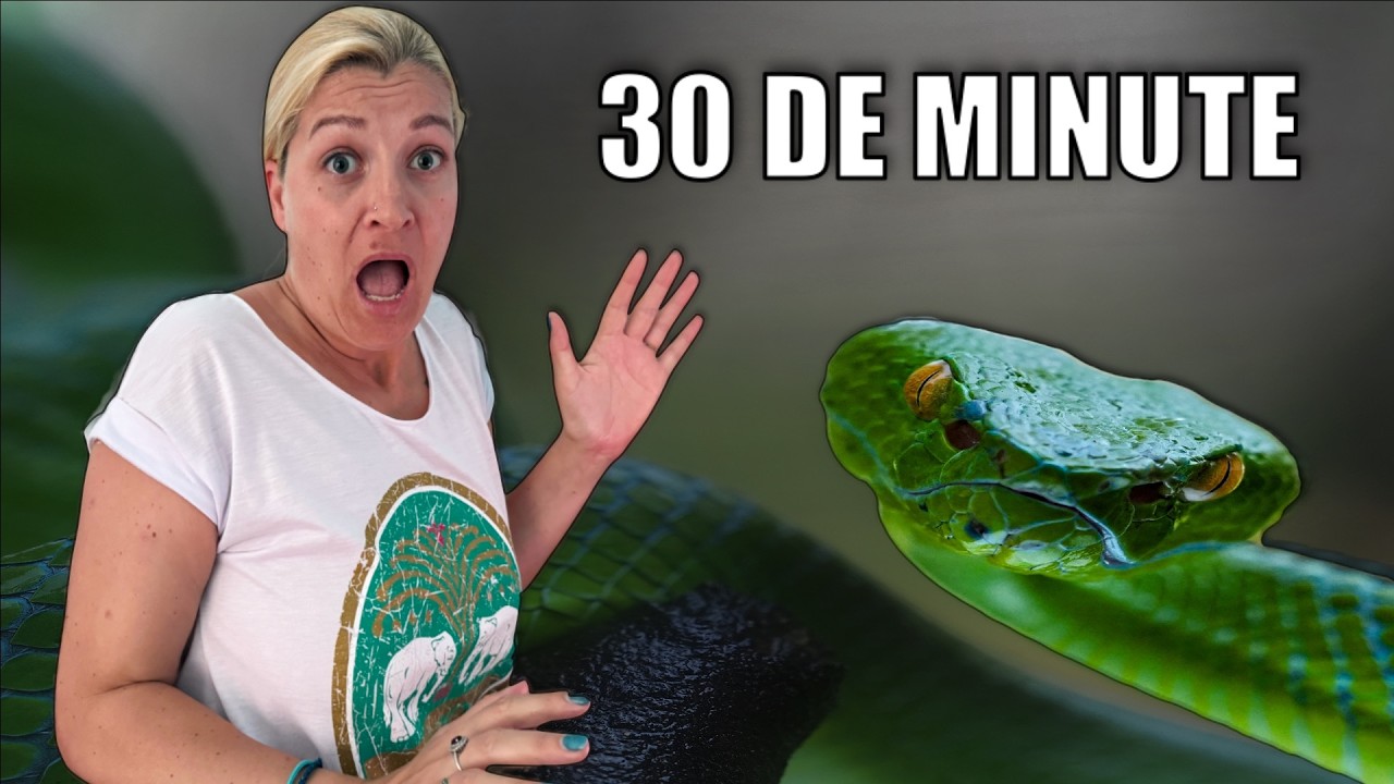 Dacă ne mușca am fi murit în 30 de minute. Aventură în jungla din Thailanda