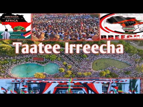 AYYAANA IRREECHA HORA FINFINNEE የሆራ ፊነፊኔ ኢሬቻ አከባበር Irreecha 2024 Irreecha Finfine
