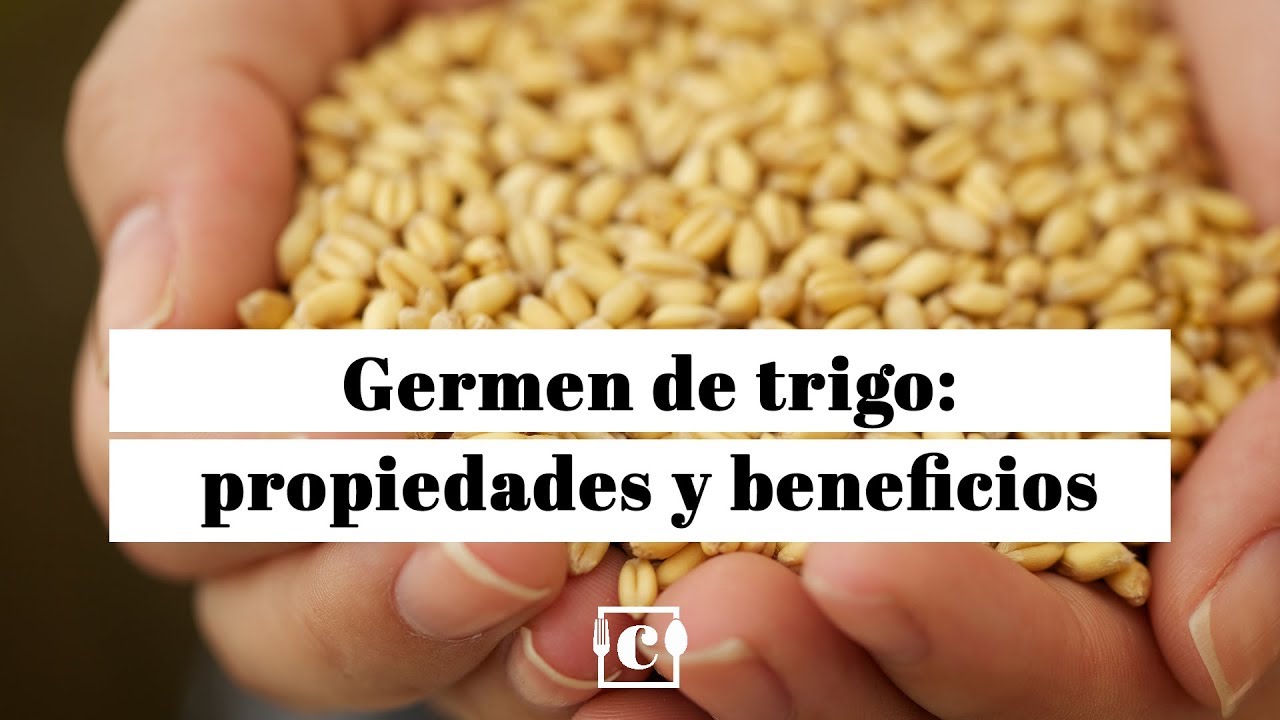  Germen de Trigo : Comida Gourmet y Alimentos