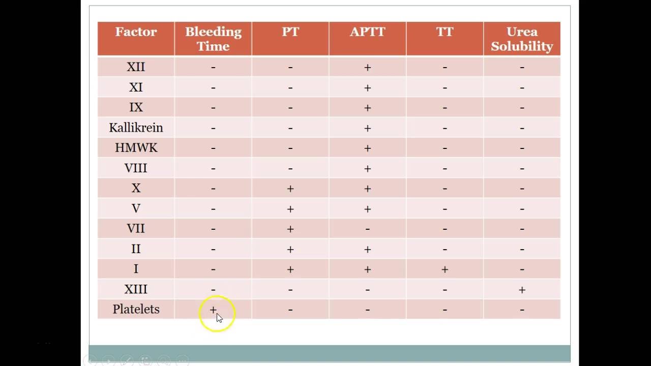 Screening Tests of Hemostasis YouTube