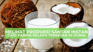 Proses Produksi Santan Kelapa Instan dari Pabrik Kelapa Terbesar di Dunia. Ada di Indonesia.