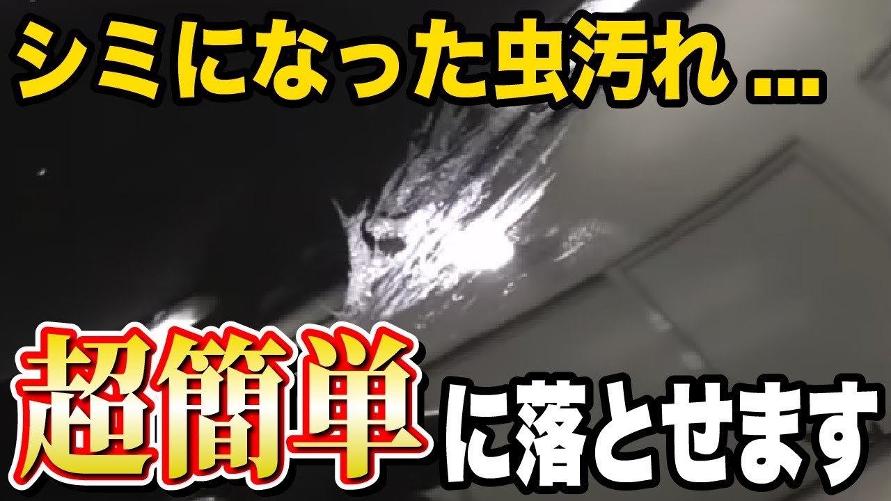 車についた虫汚れの落とし方 放置してはいけない理由とは 洗車のプロが経験をお話します Youtube 車についた虫汚れの落とし方 放置してはいけない理由とは 洗車のプロが経験をお話します Youtube