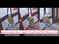 اعترافات صديقة فتاة أكتوبر قبل لحظاتها الأخيرة صاحبها قفل عليها الباب فحاولت الهرب mp3