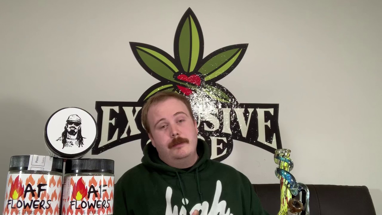 Exclusive Care “Mimosa” Strain Review - Fire AF Flowers