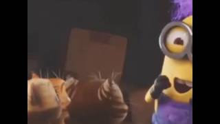 VID 20150529 WA0037