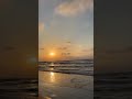 دلوقتى وحدي — مسار اجباري