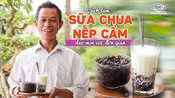 Ông Thọ Làm Sữa Chua Nếp Cẩm Dẻo Mịn Cực Đơn Giản | Vietnamese Yogurt Black Sticky Rice