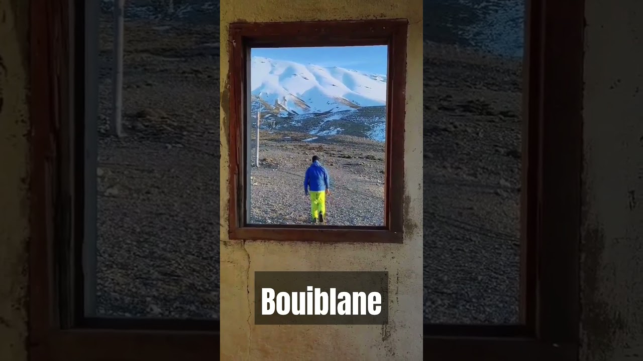 نافذة الحياة 