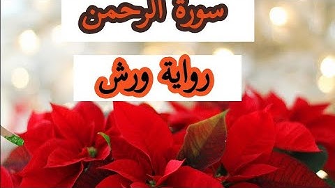 سورة الرحمن|حمزة الجزائري