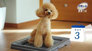 デオシート消臭ラボ「3日間交換無しでもニオわない　商品特長説明」篇