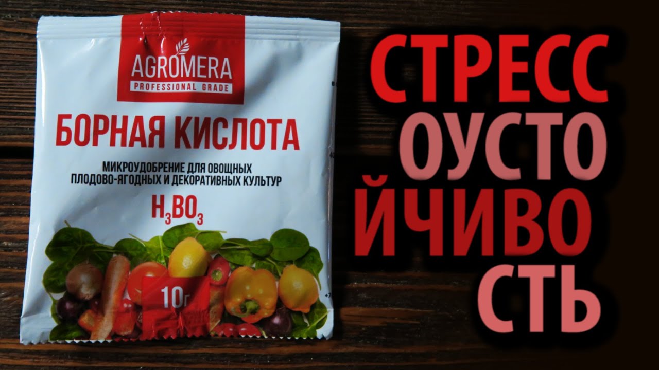 Борная кислота AGROMERA 10г