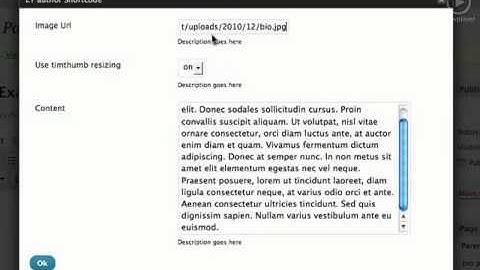 Wordpress Shortcodes Elegant Themes