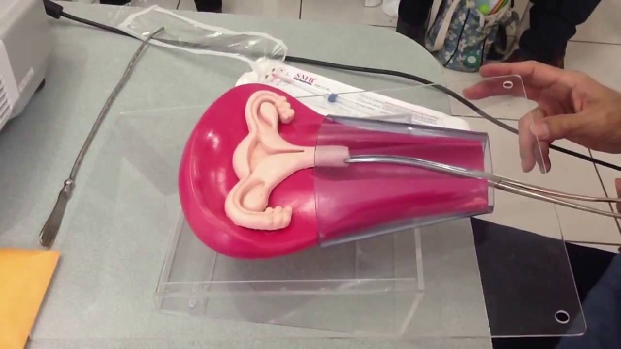 Maqueta de inserción DIU - YouTube