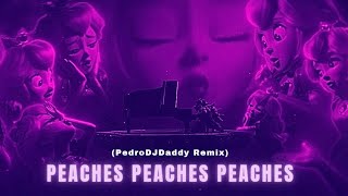 BOWSER - PEACHES PEACHES PEACHES (PedroDJDaddy EDM Remix)