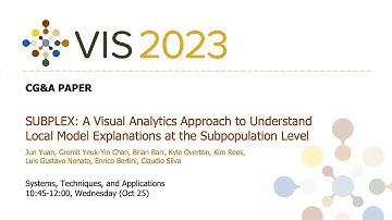 SUBPLEX: A Visual Analytics Approach to Understand Local Model Explanations at the Subpopulation Le