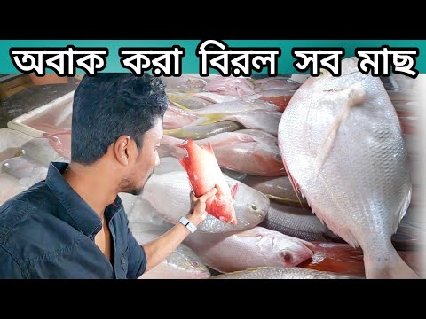 Local Fish Market in Indonesia