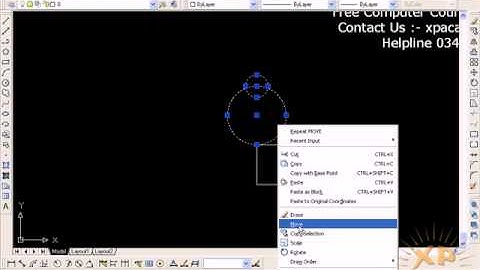How to Use Move Command in AutoCAD Urdu Tutorials wWw.xpacademy.com