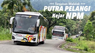 Bus Baru NPM V88 dan Bus Putra Pelangi Kejar Mengejar di Tanjakan Malalak