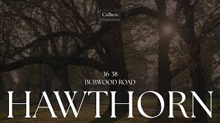 Your Golden Hour - 36-38 Burwood Road, Hawthorn Your Golden Hour - 36-38 Burwood Road, Hawthorn