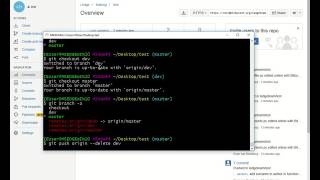 19   deleting a remote branch | Git Course