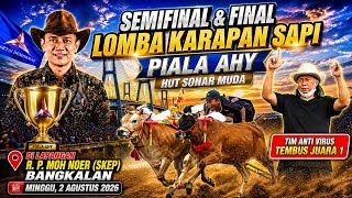 Semifinal Dan Final Lomba Karapan Sapi Piala AHY HUT Sonar Muda  Tim Anti Virus Juara 1.