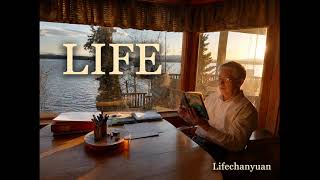 Analysis of the Three Treasures of Life Affection Love and Sex
