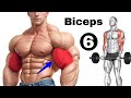 6 Effective biceps 💪🏻 exercises | Biceps workout at home #gymlife #absworkout #gymlover #biceps 💪🏻