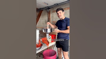 Canning Tomato Sauce 🍅 It’s an Italian family tradition 🤌🏻