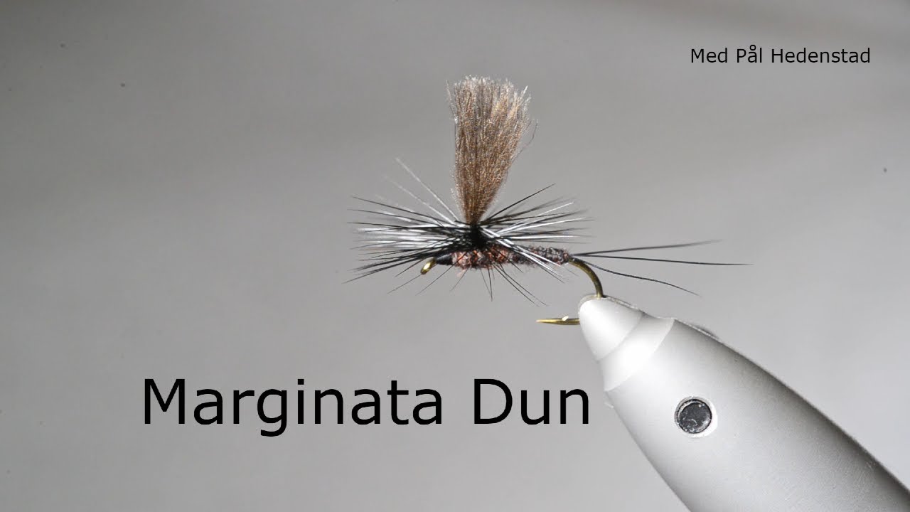 Ørretfluer - Marginata Dun