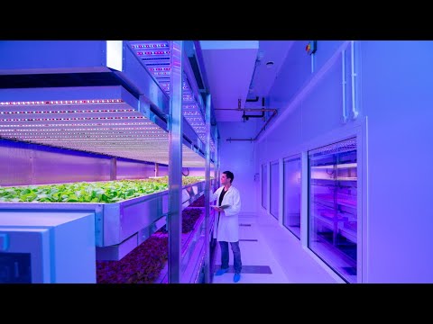 Philips GrowWise Center - Our blueprint for vertical farming