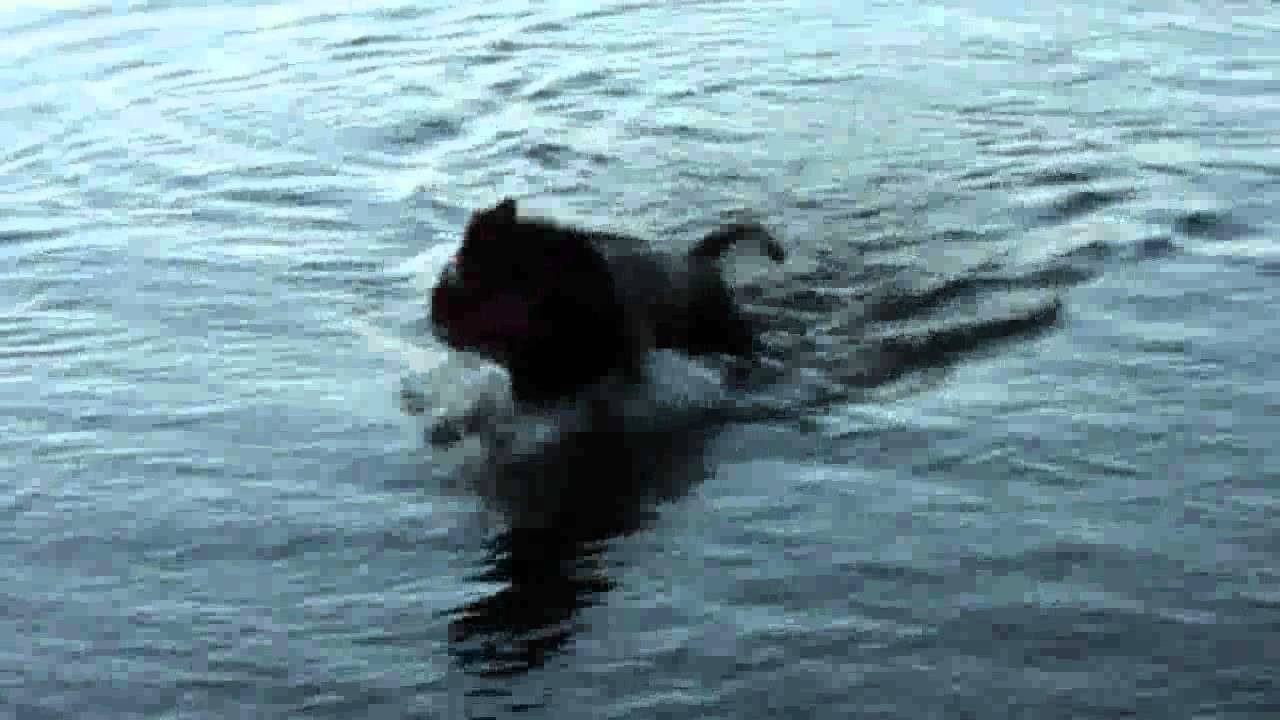 Eixer See - Spaß mit Frauchen