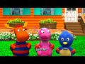 Beginning of video