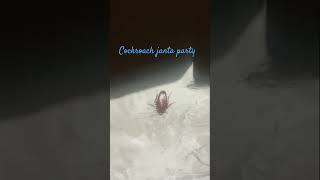 Cockroach janta party #@ #tempting