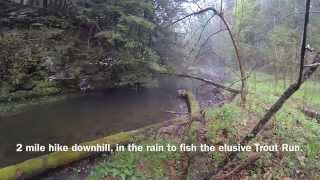 Trout Run near Cedar Run, PA
