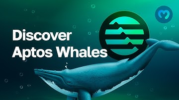 Discover Aptos Whales - Get Top Coin Holders on Aptos | Moralis Web3 API