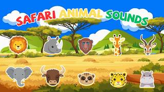 Safari Animals Learning Song | Elephant, Giraffe, Hippo & Wild Animals | Kids TV Education